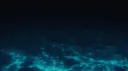 LIFE CODE banner