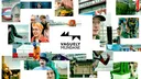 Vaguely Mundane banner