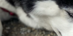 The DataExpert.io Community server banner