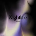 Nightlife banner