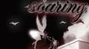 soaring banner