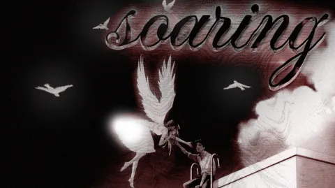 soaring banner