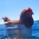 Across the multiverse Banner