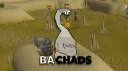 BA Chads Discord server banner
