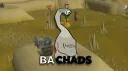 BA Chads banner