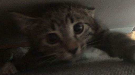 chill club <3 Discord server banner