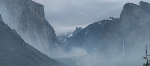 Whaledev | Programming • Coding • Tech • Linux • Javascript • Python Discord server banner