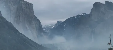 Whaledev | Programming • Coding • Tech • Linux • Javascript • Python banner