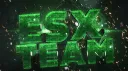 esx banner
