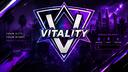 Vitality™ Banner