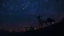 Kroniki Rubieży banner