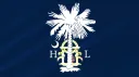 Hampton's Legion banner