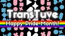 TransTuve | Jetzt erst recht! Banner