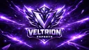 Veltrion Esports banner