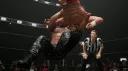 AEW Fight Forever banner