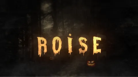 R O I S E #YENIDEN 👑 Discord server banner