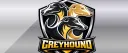 GREYHOUND™ | No wipe x25 banner