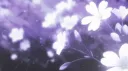 violets ෆ banner