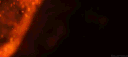 ⚝Elitarna szkoła Quantum - RP⚝ banner