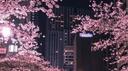 Acid ｡˚⋆ Banner