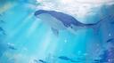Ocean Banner