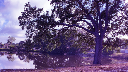 The Klub Discord server banner