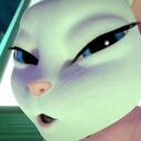 PHATCAT Banner