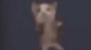 Ace's Emotes Banner