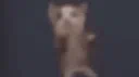 Ace's Emotes Discord server banner