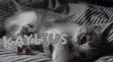 stuck in @kaylius"  ᶻ 𝗓 𐰁 Banner