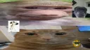 Feur PRIME GOATZER banner