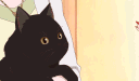 coolcats banner