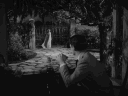 photo. banner