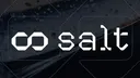 Salt AI#0245 banner