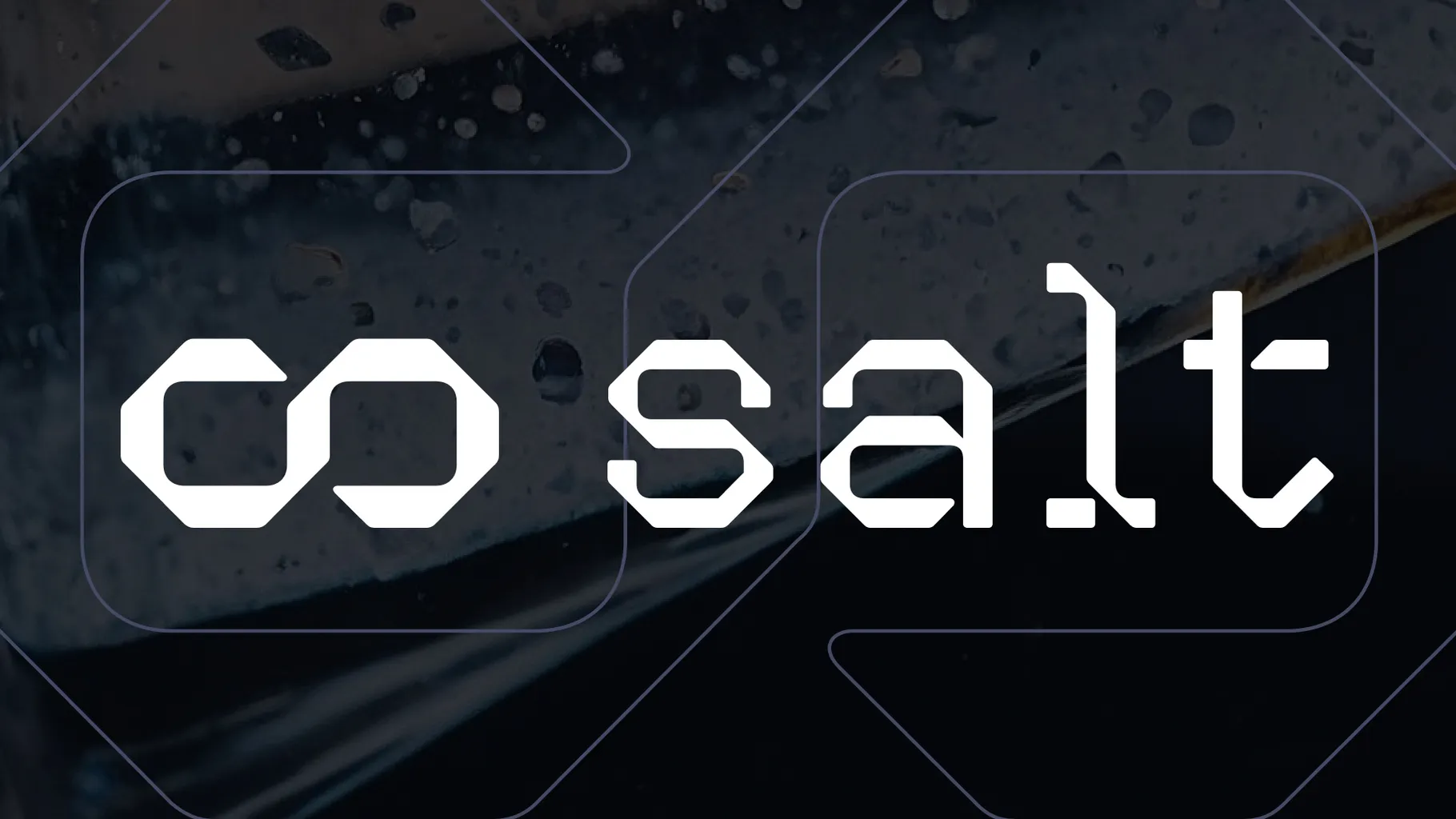 Salt AI#0245 banner