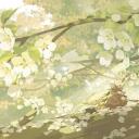◜◞﹒ 𝗚𝗥𝗘𝗘𝗡 𝗪𝗜𝗟𝗟𝗢𝗪𝗦﹒ Banner