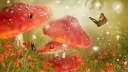 ‧˚୨ 𝑴𝒖𝒔𝒉𝒓𝒐𝒐𝒎 𝑭𝒐𝒓𝒆𝒔𝒕 ɞ banner