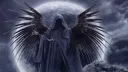 ЧЕРНЫЙ ДЕЛЬФИН | 08 banner