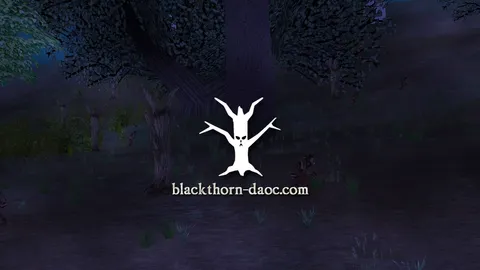 Blackthorn banner