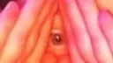 𝐓𝐡𝐞 𝐍𝐞𝐬𝐭 (𝟏𝟖+) banner
