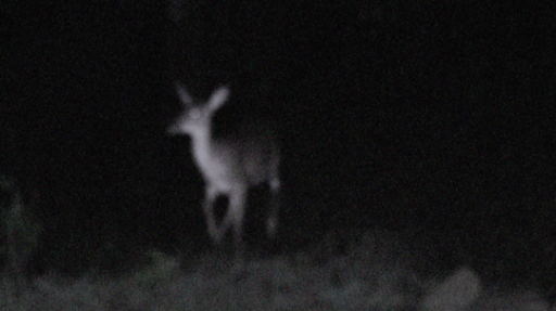 DECAY Discord server banner