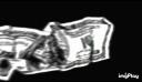 /TRENDZZ Banner