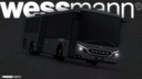 wessmann Banner