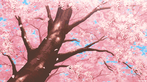 🌸 ﹕Gaia's Garden Ი︵𐑼 Discord server banner