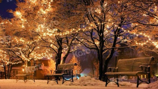 ❄~𝒁𝒐𝒓𝒏𝒊𝒔𝒕𝒂~❄ Discord server banner