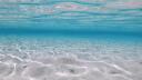 𓇼 ࣪ 𓈒 Adi’s Tropical Beach ⭒ 𓆉 ⭒𓈒 Banner