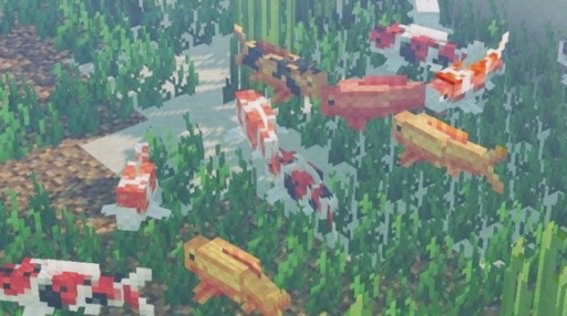 Fishcord 🐟 Discord server banner