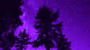 DaniVerse Discord server banner