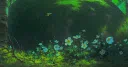 𐔌 . ⋮ 𝙞𝙯𝙖𝙣𝙖𝙜𝙞 .ᐟ ˚୨୧⋆。 Discord server banner