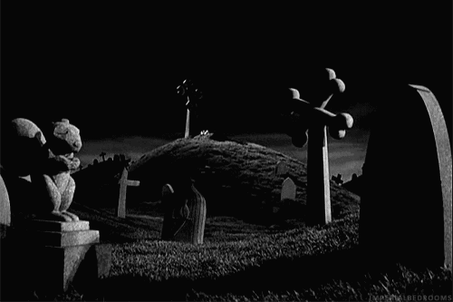 A𝖋𝖙𝖊𝖗 † D𝖆𝖗k Discord server banner